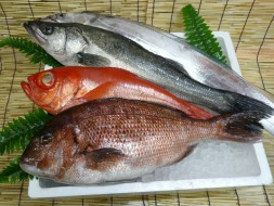 阿部鮮魚店2